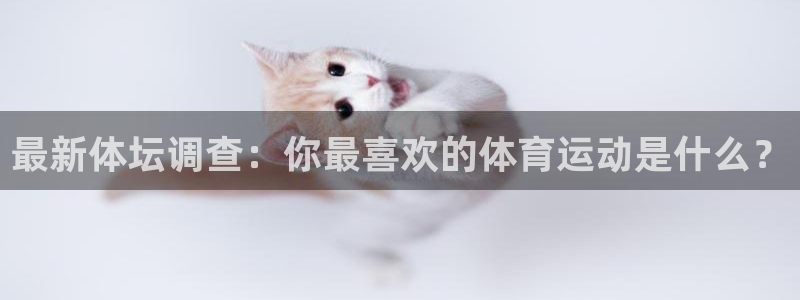 谈球吧体育