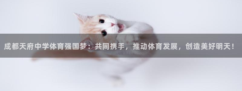 谈球吧体育官网