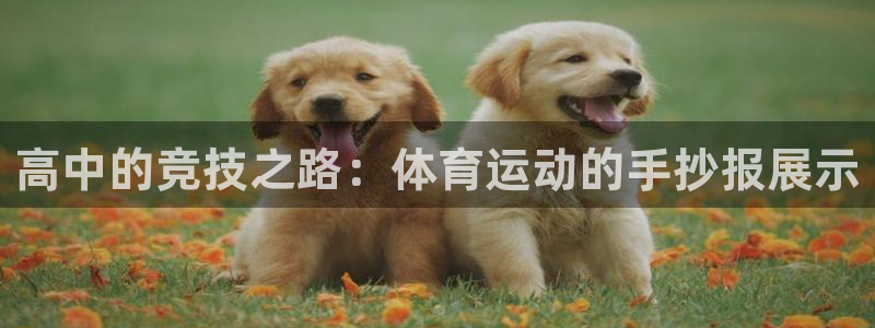 谈球吧体育官网