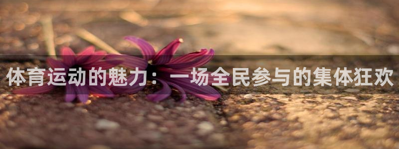 谈球吧体育官网