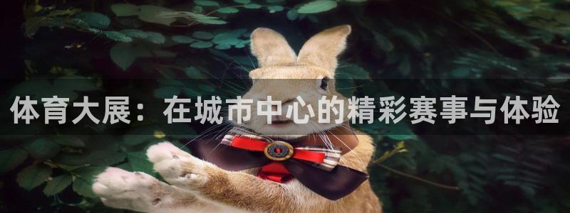 谈球吧