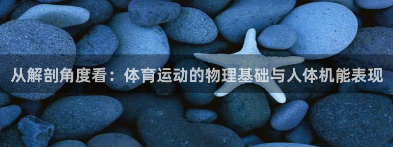 谈球吧