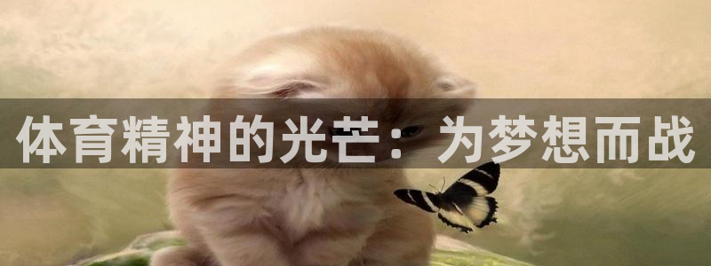 谈球吧体育官网
