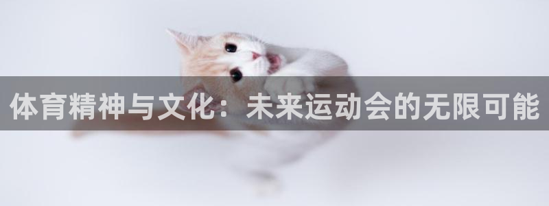 谈球吧体育官网