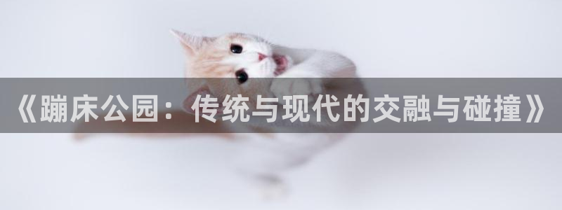 谈球吧