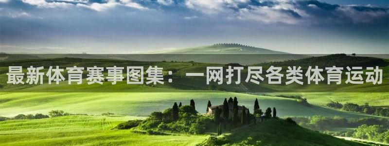谈球吧体育官网
