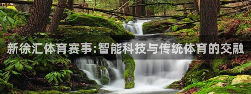 谈球吧体育
