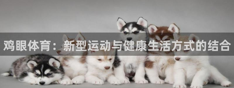 谈球吧