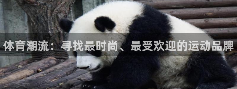 谈球吧