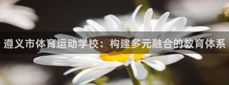 谈球吧