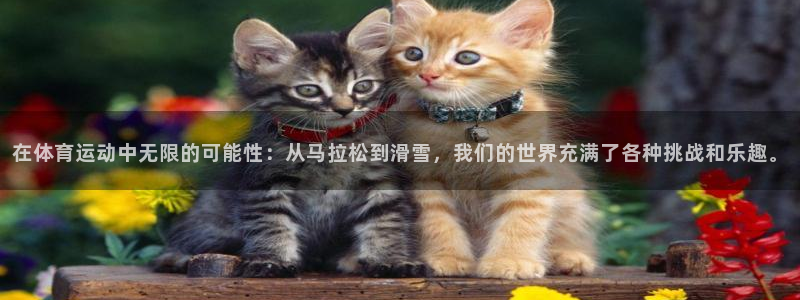 谈球吧体育