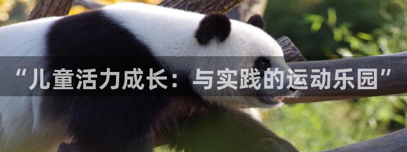 谈球吧体育官网