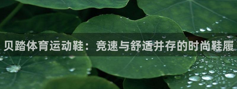 谈球吧体育